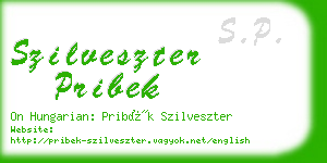 szilveszter pribek business card